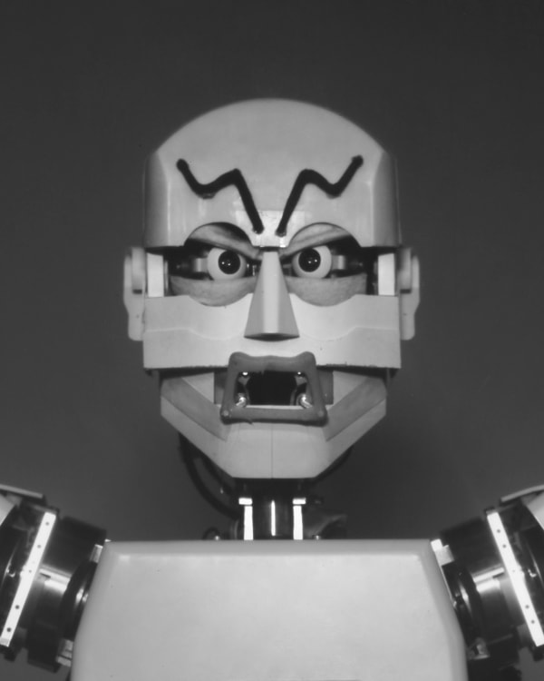 Wanda Tuerlinckx, Kobian-R, Takanashi Laboratory of Waseda University, Tokyo, Japan, 2017