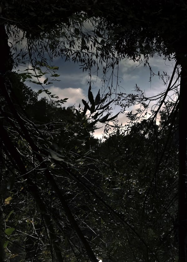 Sayako Sugawara, Pond in the Sky, 2019