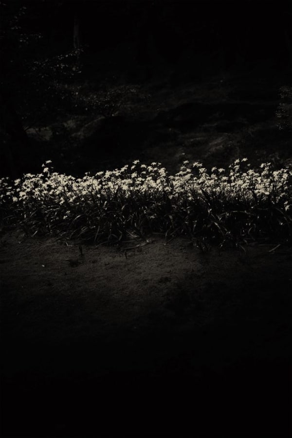 Albarrán Cabrera, The Mouth of Krishna #315, 2014