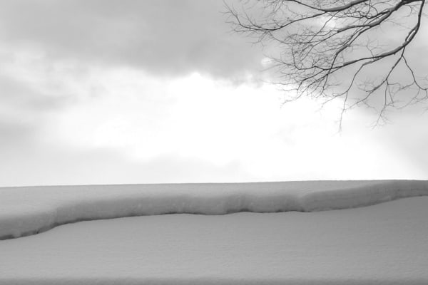 Yukari Chikura, Zaido 29, 2012-2017