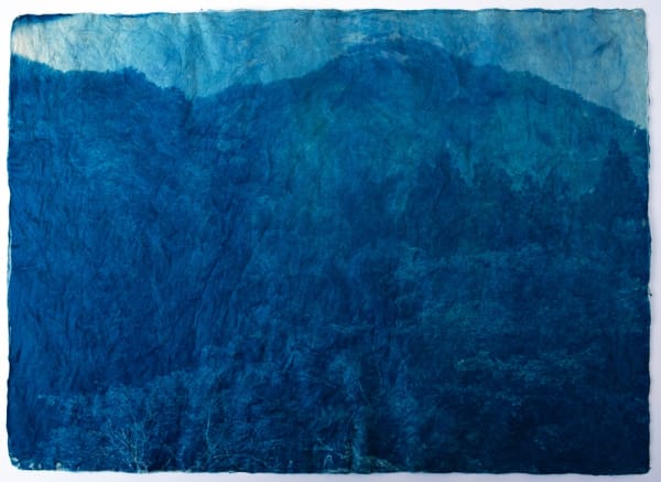 Mika Horie, Stillness in the wood, 2018