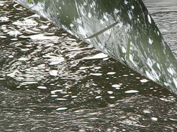 Madelon Hooykaas, Turning page, from 'Haiku, the art of the present moment', 2007/2023