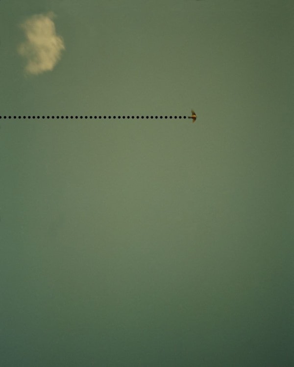 David Favrod, Le vol de l'oiseau, 2017