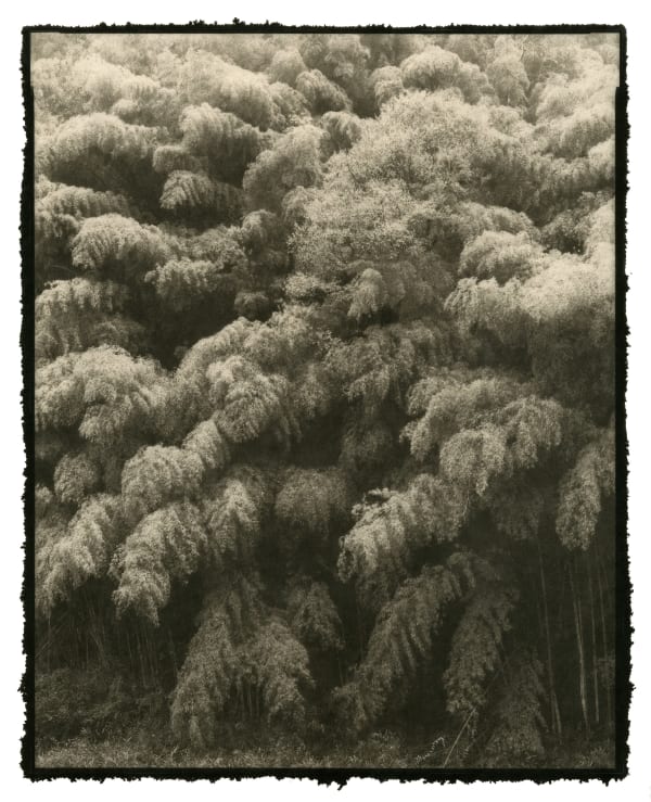 Nobuyuki Kobayashi, seidou, 2020