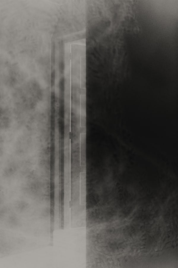 Elizabeth Alderliesten, Passo, 2020