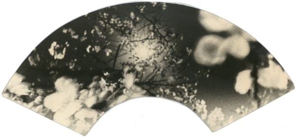 Miho Kajioka, #0091, 2021