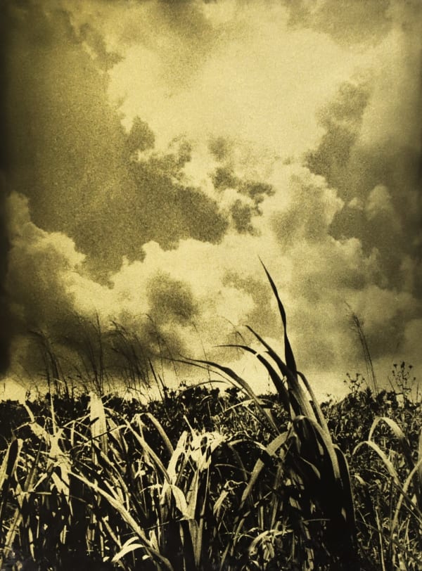 Naohiro Ninomiya, Glanage-43, 2019