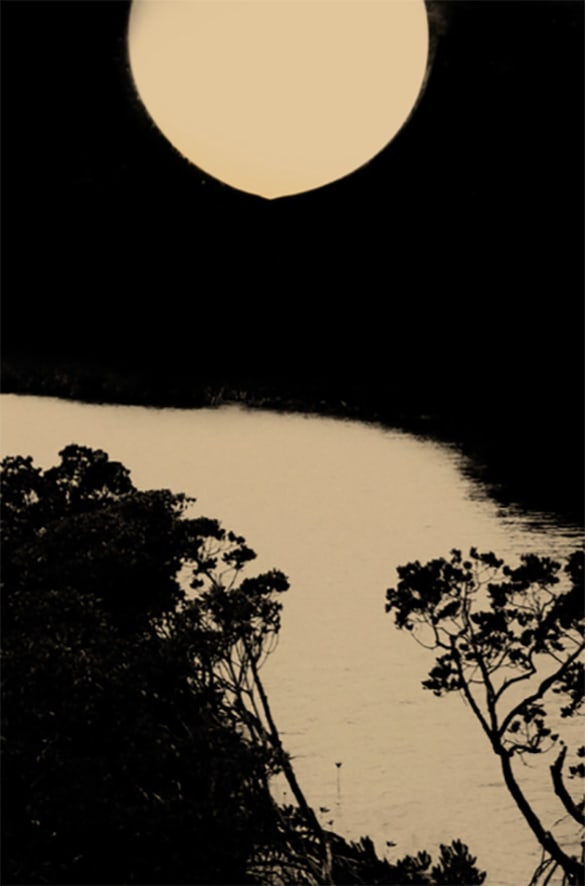 Paul Cupido, Tsuki Kawa, 2019