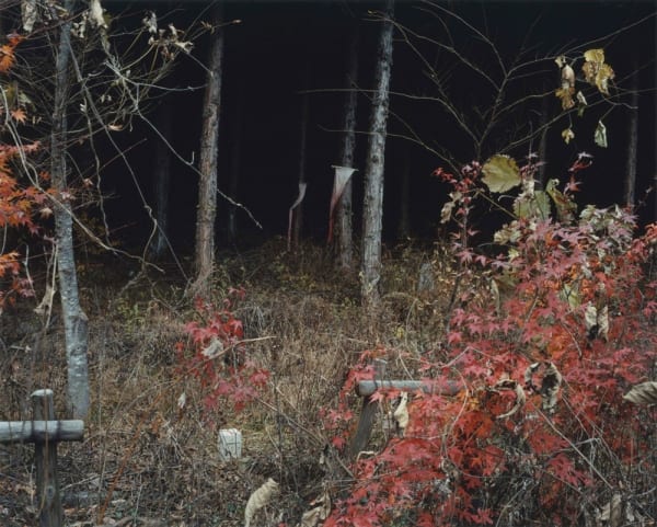 Yoko Ikeda, 0043-10 Yamanashi City, Yamanashi Prefecture, 2006