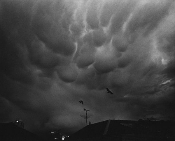 Kikuji Kawada, Zeno & Kiki, from the Last Cosmology, 1995