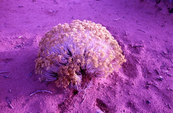 Sean Lotman, Spaceman 24: Joy, Despair, Hope, 2023