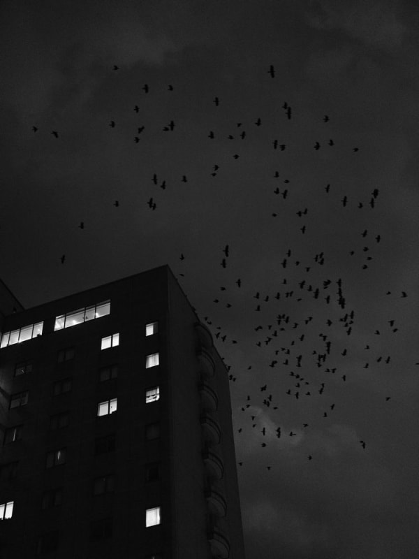 Guillaume Simoneau, Untitled from Murder (Kanazawa 01), Ishikawa pref, Japan, 2017