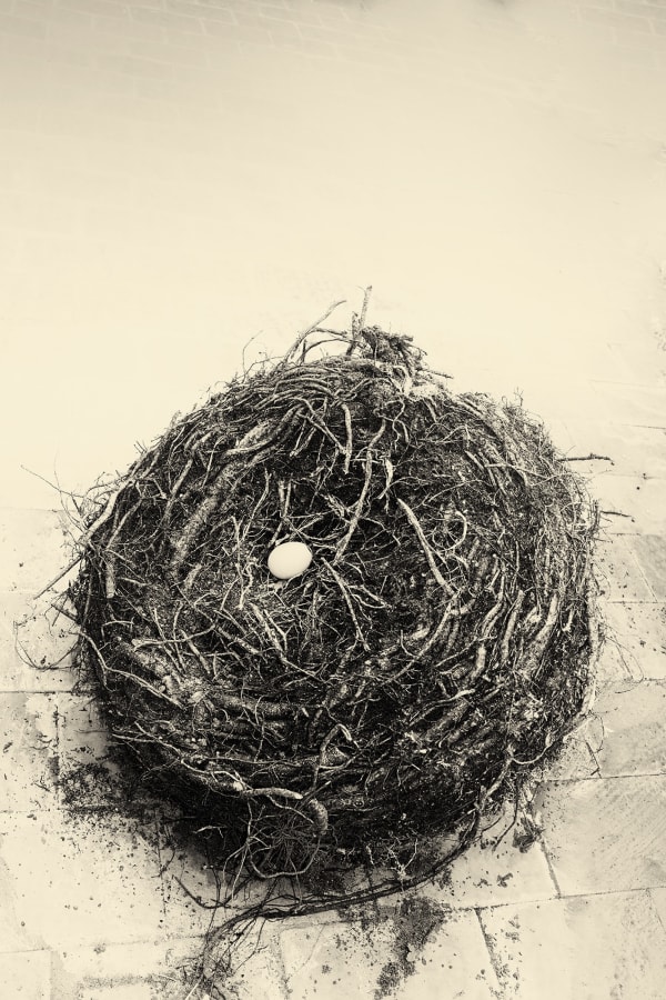 Albarrán Cabrera, The Mouth of Krishna #240, 2014/2020