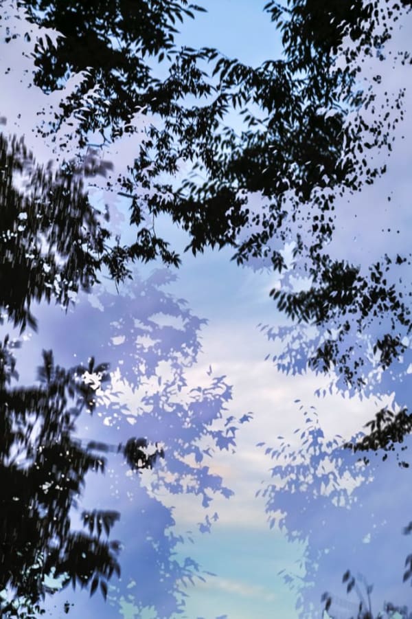 Yoshinori Mizutani, HDR_Nature 017, 2016-2018