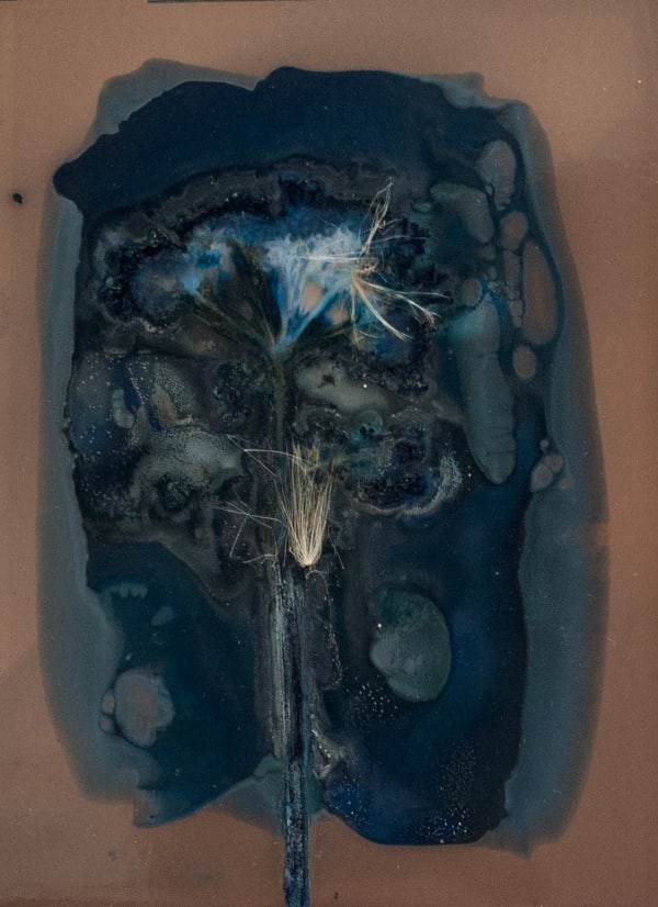 Aindreas Scholz, The Most Beautiful Anthropocene #, 2023