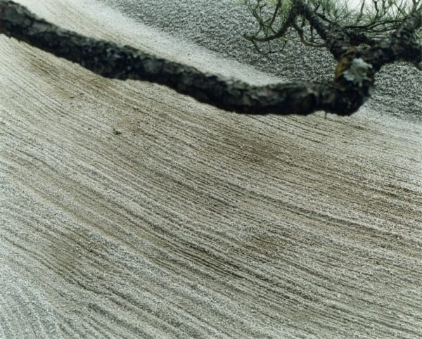 Yoko Ikeda, 1364-06 Kyoto City, Kyoto Prefecture, 2016