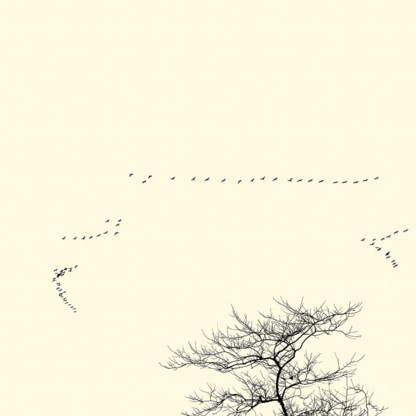 François Laxalt, Soixante Seize / Seventy six, 2010