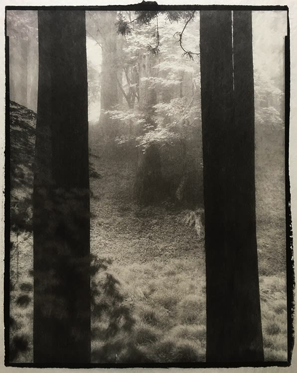 Nobuyuki Kobayashi, kannabi 3, 2016