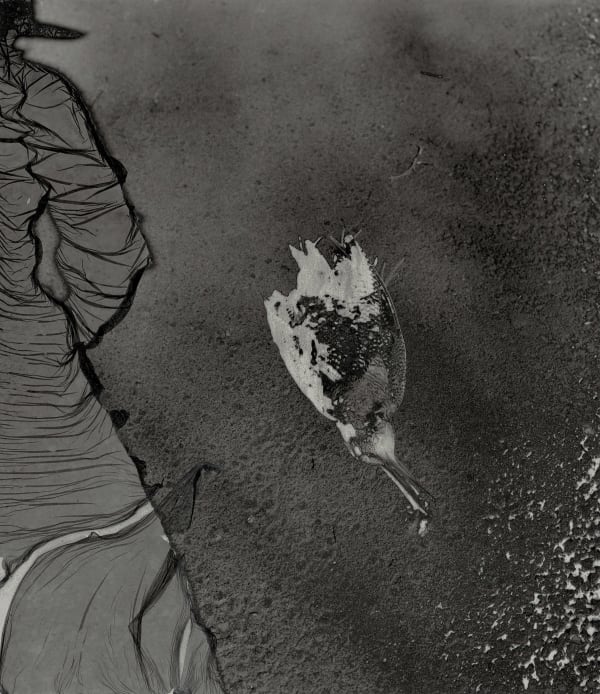 Ingrid Dorner, Liminal14, 2022