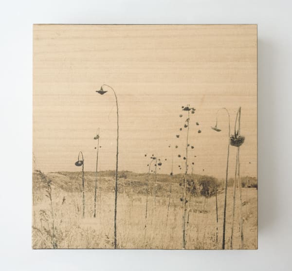 Miho Kajioka, and, do you still hear the peacocks?, 2021