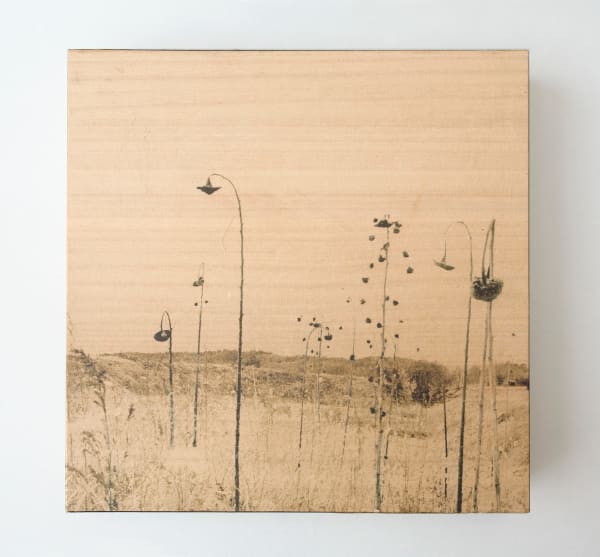 Miho Kajioka, and, do you still hear the peacocks?, 2021