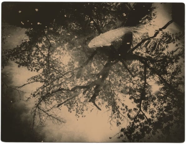 Miho Kajioka, BK0623, 2020