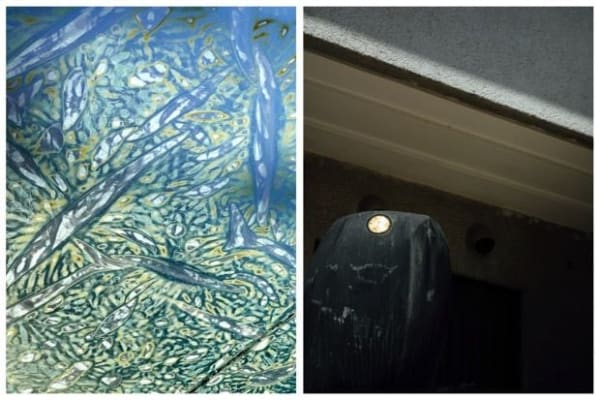 Otani/Nieuwenhuize, NIEUWENHUIZE OTANI / Dazaifu Tenmangu #7, 2016