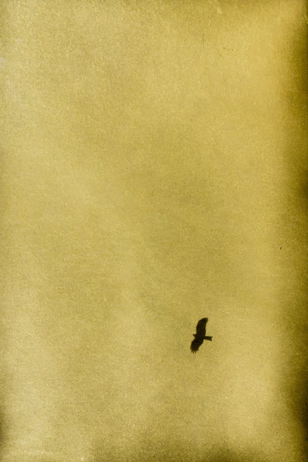 Naohiro Ninomiya, Glanage-85, 2023