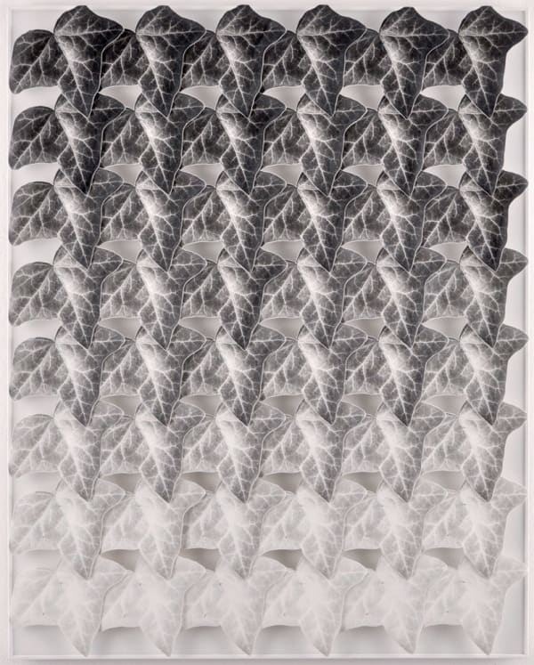 Norio Takasugi, Efeu 16-1G, 2017