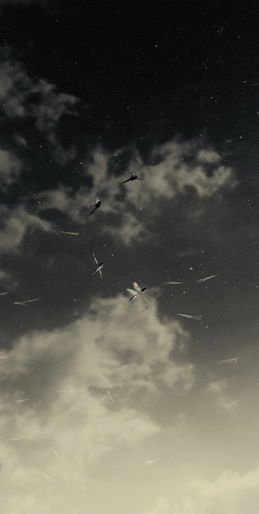 Albarrán Cabrera, The Mouth of Krishna #146, 2013