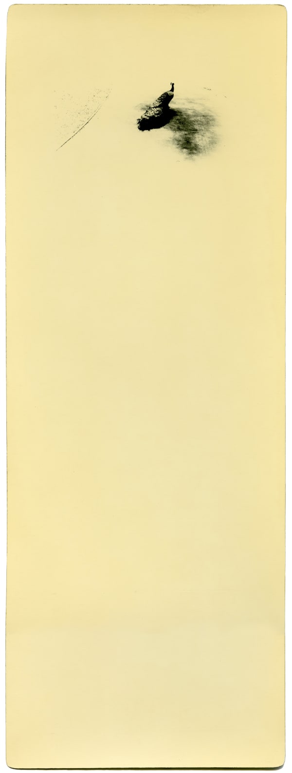 Miho Kajioka, BK0171, 2017