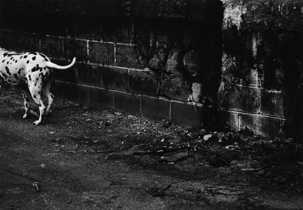 Reiko Imoto, Parallelism from Visions of the Other Side, 2000