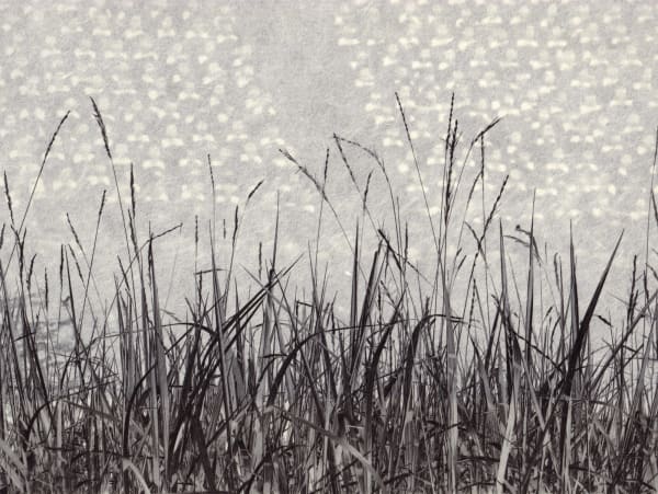 Junko Hirano, Musashino-zu 1MS1-4, 2019/2025