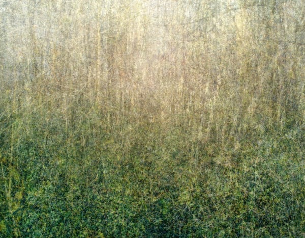 Hideyuki Ishibashi, « Bois Parisien 20/11/2020 10:05 – 10:39 », 2020