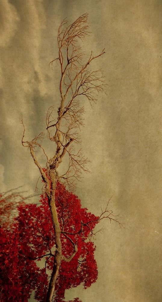 Albarrán Cabrera, The Mouth of Krishna #530, 2016/2021