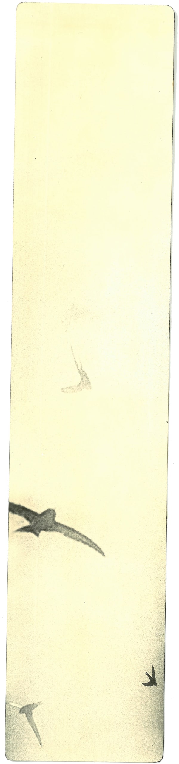Miho Kajioka, BK0509, 2019