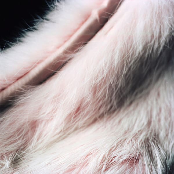 Kumi Oguro, KAT_3, 2018