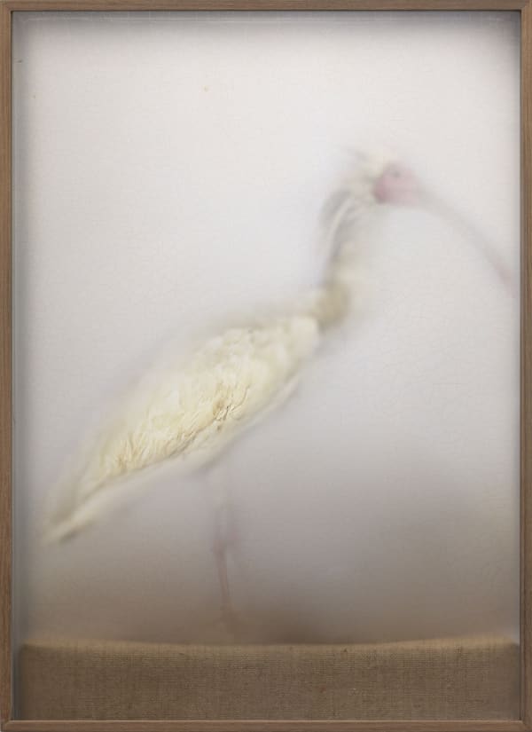 Casper Faassen, ReCollection 14, 2020