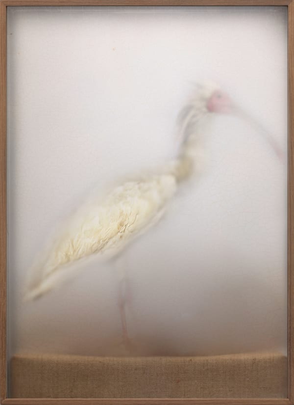 Casper Faassen, ReCollection 14, 2020