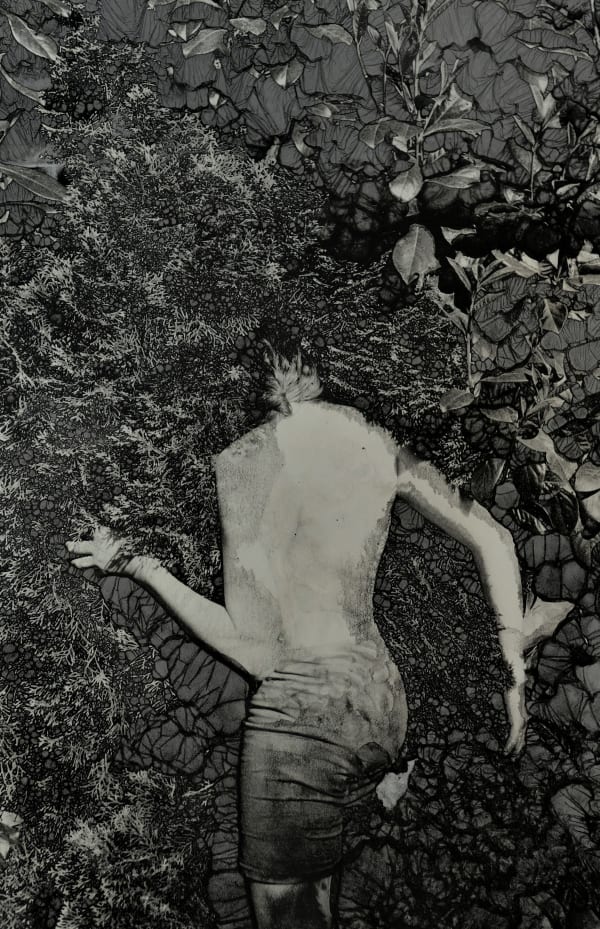 Ingrid Dorner, Liminal.III.03, 2024