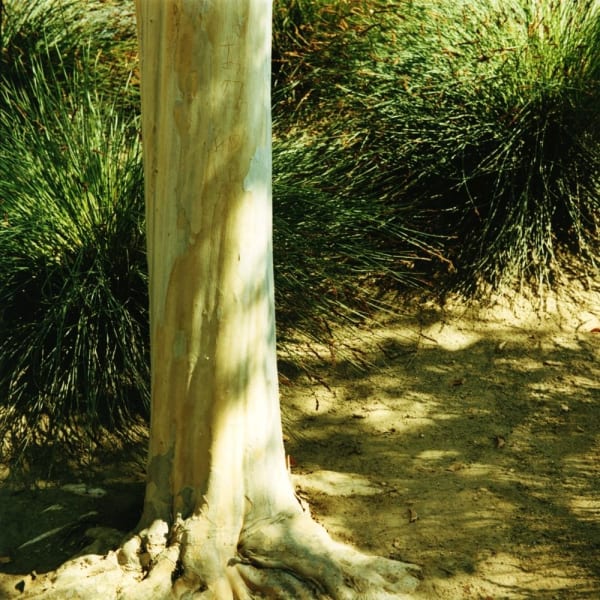 Mikiko Hara, Untitled, 2014 from These are Days (#064), 2014