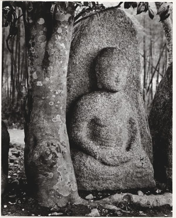 Ken Domon, Koji Junrai - Plate 108, 1963-1972