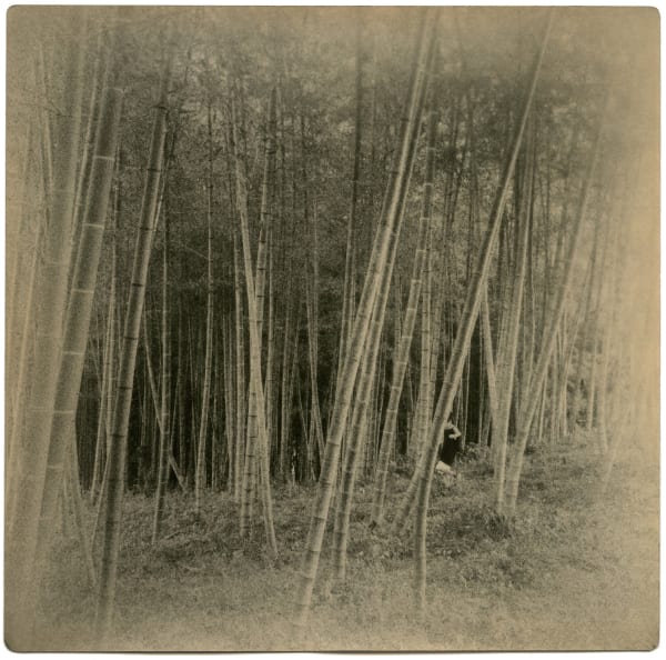 Miho Kajioka, BK0193, 2015