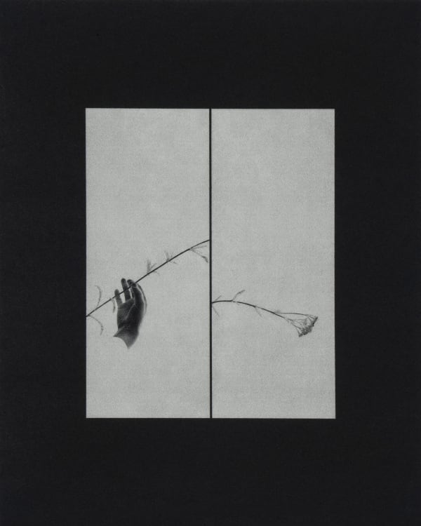 Sayuri Ichida, Ctrl Shift + J #016, 2023