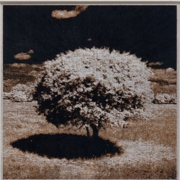 Norio Takasugi, jta-2, 2018