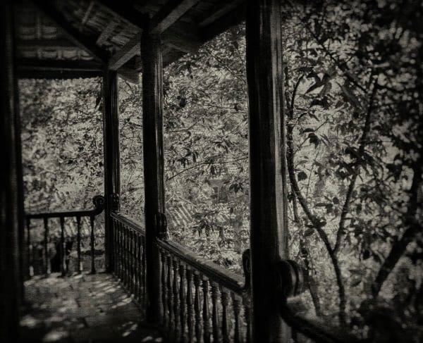 FLORE, FL-925 Lumière de sieste, 2020