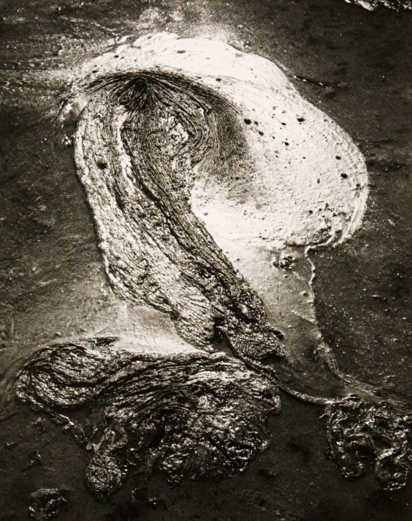 Various International Artists, Lucien Clergue - Untitled, from the series Camargue Secrète, 1960s