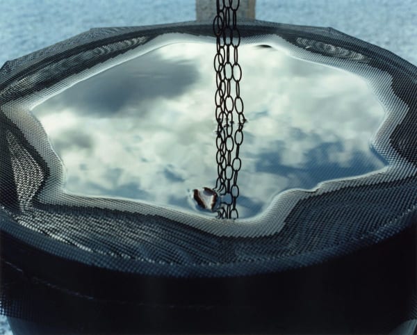 Yoko Ikeda, 1245-04 Kurashiki City, Okayama Prefecture, 2014