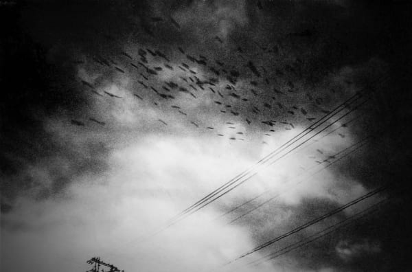 Tokyo Rumando, Untitled from 'S', 2018