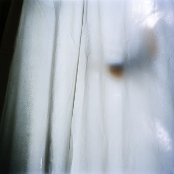 Kumi Oguro, Butterfly, 2020